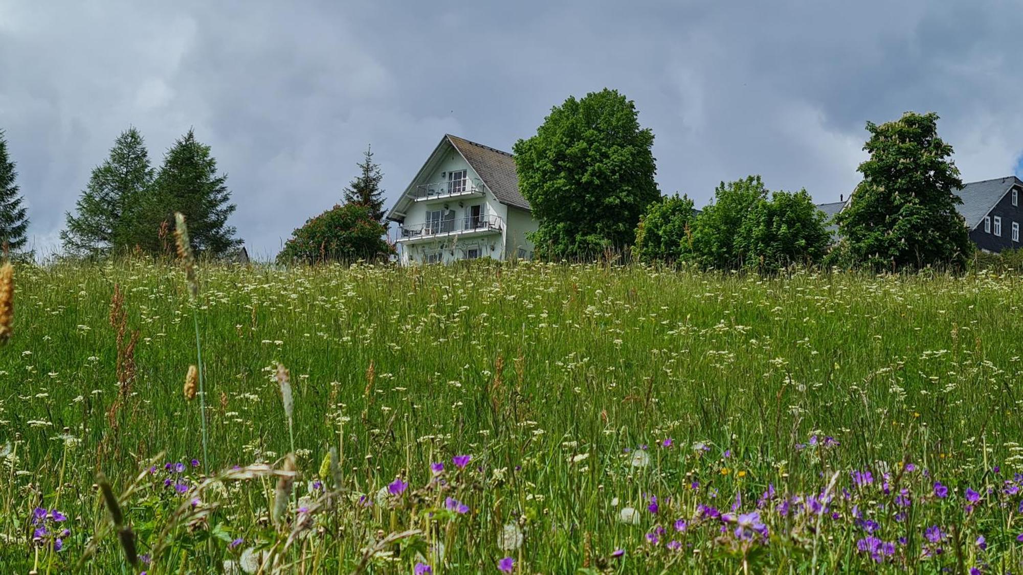Pension Breitenborn Masserberg Buitenkant foto